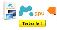 Application Mspy